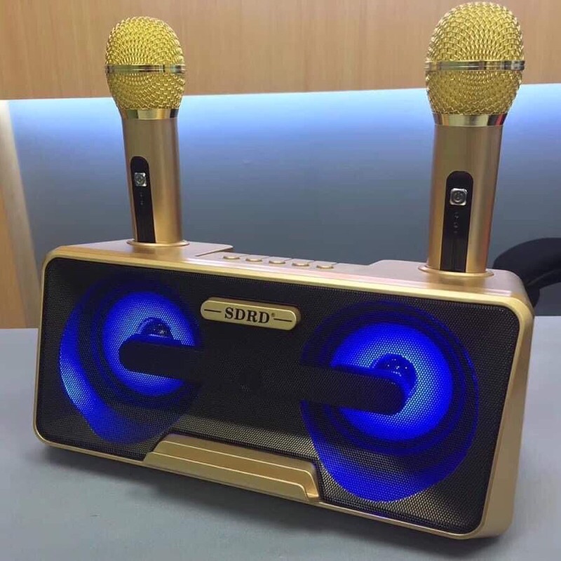 Loa Karaoke Bluetooth Xách Tay Di Động,Tặng Kèm 2 Micro Không Dây Cao Cấp