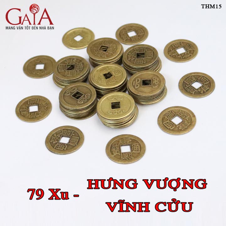 Đồng xu ngũ đế, đồng xu phong thuỷ bỏ bóp ví - THM15 | Vật phẩm chiêu tài