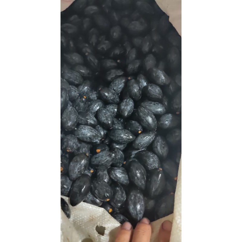 Trám đen đặc sản Cao Bằng ( đã ỏm sẵn và tách hạt) 1kg | BigBuy360 - bigbuy360.vn