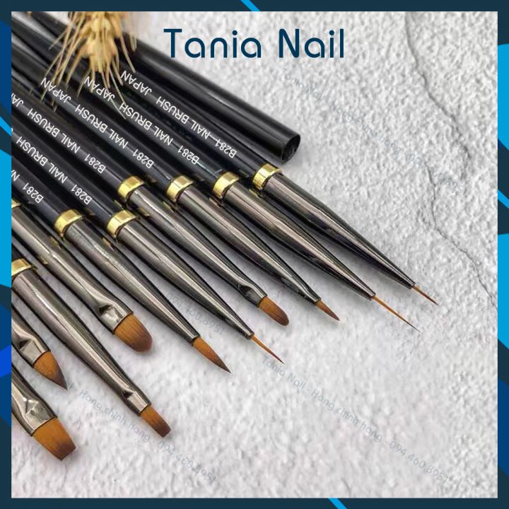 Cọ Vẽ Nail B281 Cọ Nét Hoa Cúc Bản Màu Nước Nhật 10 cây B281 SP001222