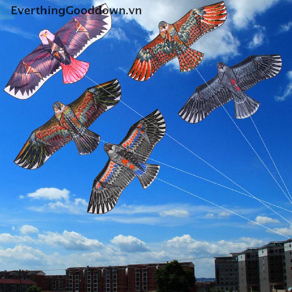 Diều Hình Chim Đại Bàng 1.1m Dây Dài 30M