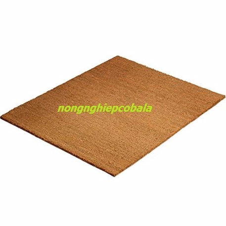 Thảm Xơ Dừa 50x50cm Giá Thể Trồng Cây