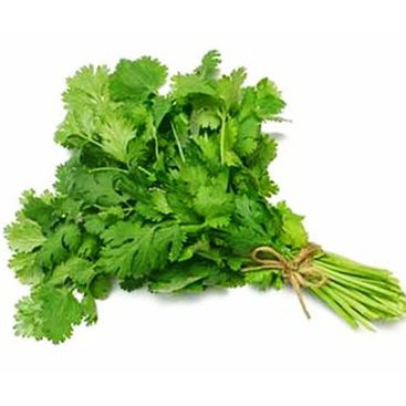 Ngò Rí (20g), Hạt Giống Ngò Lớn Pháp - Nhập Khẩu ITALY