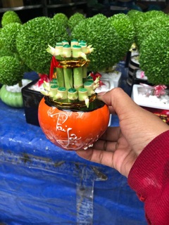 Chậu Trúc Phú Quý 2 tầng