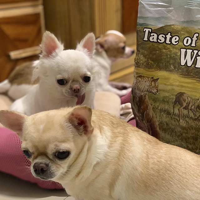 Thức Ăn Cho Chó Pomeranian Taste Of The Wild Bao 500g - Appalachian Valley Thịt Nai &amp; Đậu Garbanzo