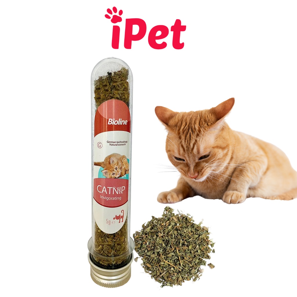 Ống Cỏ Bạc Hà Mèo Catnip Cho Mèo Chơi - iPet Shop