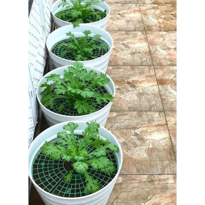 Giá đỡ hỗ trợ trồng Dâu Tây, khung đỡ xà lách, giá đỡ quả