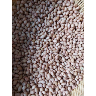 ĐẬU PHỘNG /LẠC TƯƠI 500g