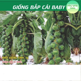 Hạt Giống Bắp Cải Baby (Bắp Cải Tí Hon) 1gr