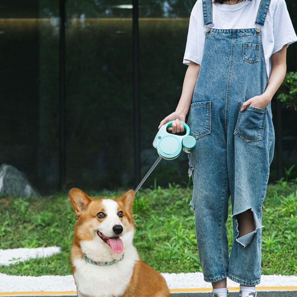 Dây Dắt Thú Cưng Đi Dạo Bằng PP Nylon PP Tùy Chỉnh Tiện Dụng Cho Cún Cưng Nhỏ