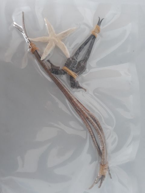 2 con cá ngựa 8cm + 2 con hải long + 2 con sao biển