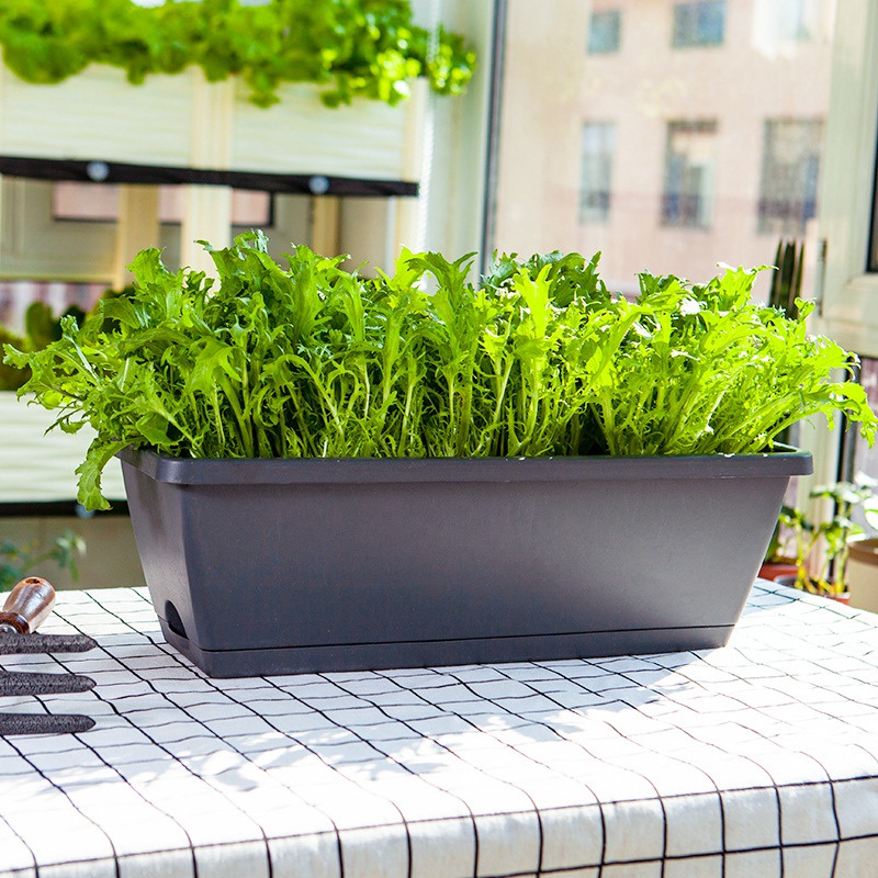 Set 2 hộp trồng cây tự tưới hình chữ nhật trang trí nhà cửa