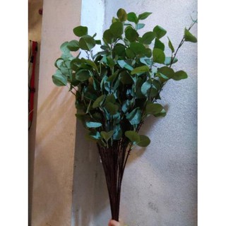 Cành lá dài 3nhánh ( để Free ship CHAT ngay với người bán)