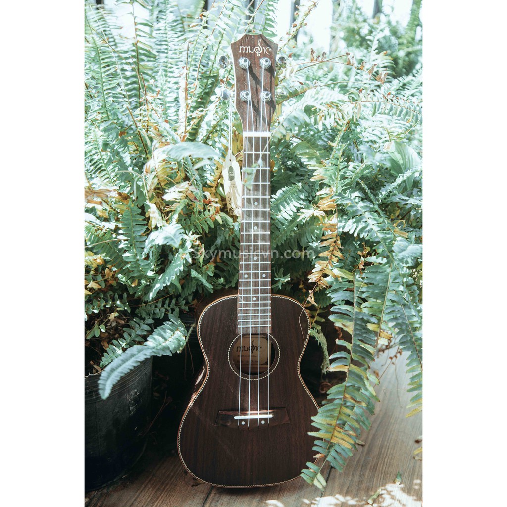 [Hàng Xịn] Đàn ukulele Concert Music (tặng fulll 9 phụ kiện)