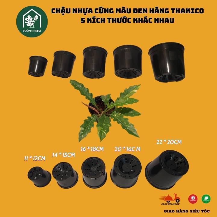 Chậu nhựa cứng màu đen cao cấp hãng Thakico 5 kích thước nhỏ đến lớn - Kiểng lá cao cấp
