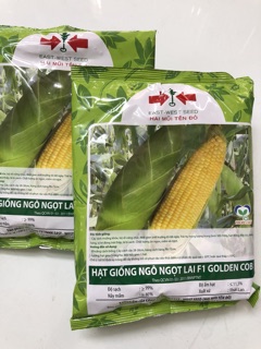 Hạt giống bắp Mỹ (bắp ngọt) - 500gr