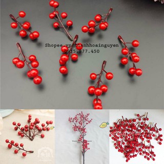 Nhánh 7 hạt mai đỏ phụ kiện chụp ảnh và trang trí Noel giáng sinh