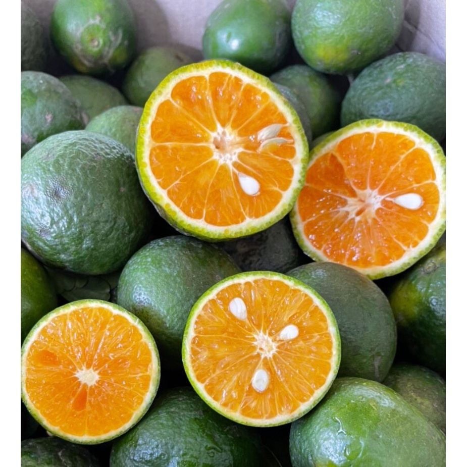 Giao HCM Cam Sành Ngon Ngọt 1kg từ 3->5 Trái