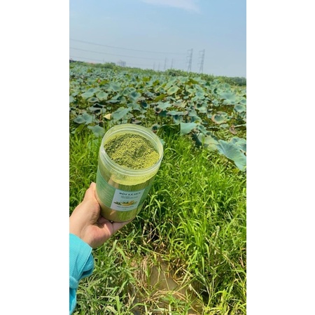 Siêu phẩm 1 hộp Bột lá sen 500gr cực nguyên chất