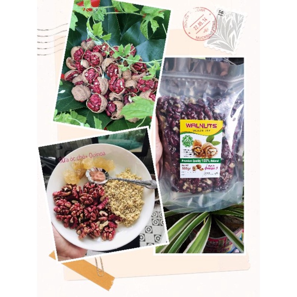 NHÂN ÓC CHÓ ĐỎ MỸ