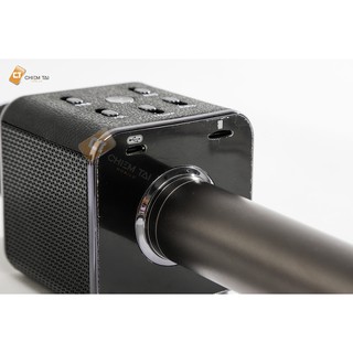 Micro Karaoke kèm loa Bluetooth Tosing Q9