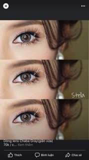 Kính áp tròng - chaba gray lens