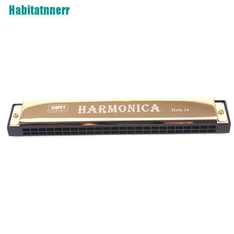 Kèn Harmonica Tremolo 24 Lỗ Tiện Dụng