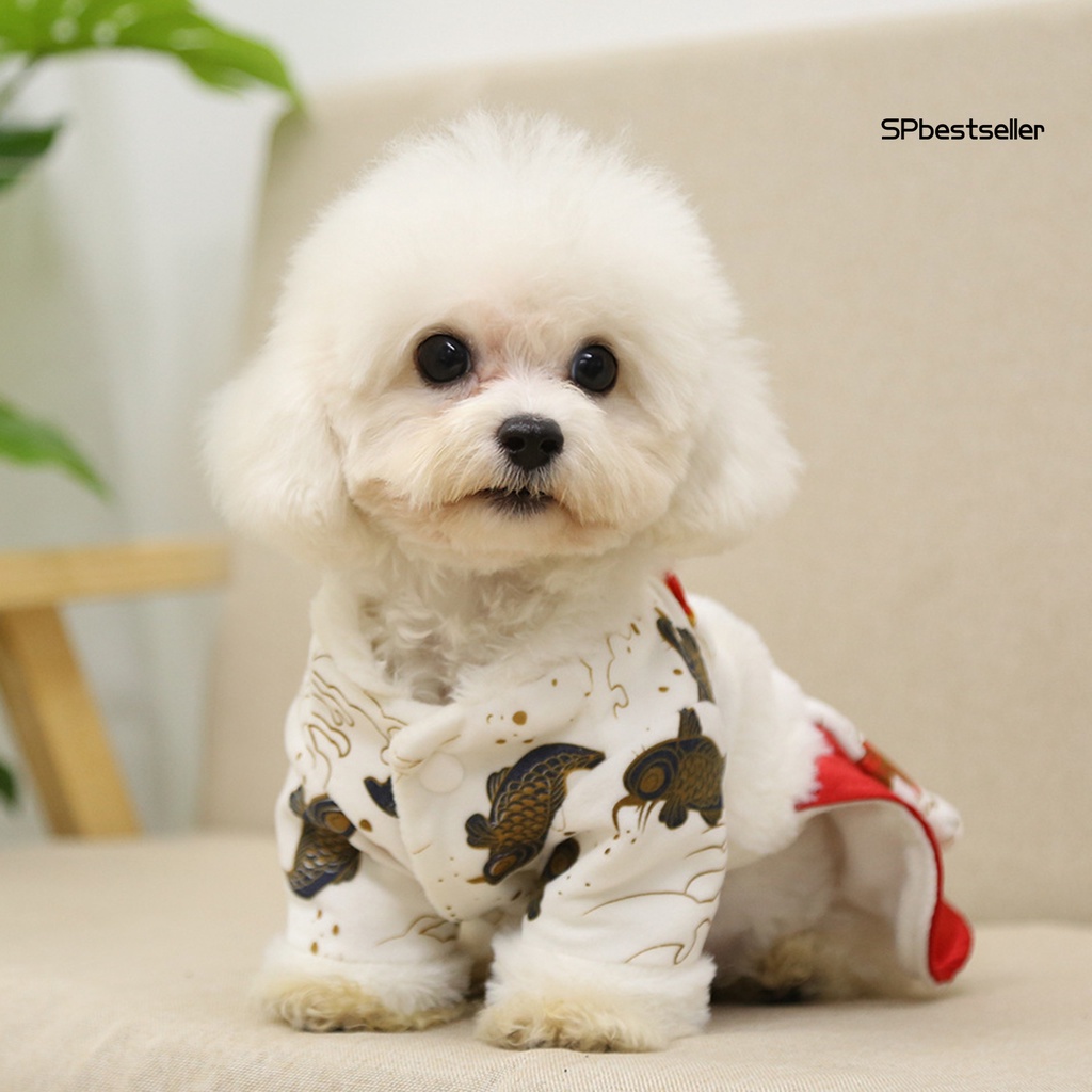 Đầm công chúa dày dặn in họa tiết cá chép cổ điển thời trang mùa đông cho thú cưng