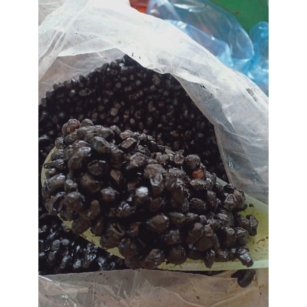 combo 1kg đâu dị