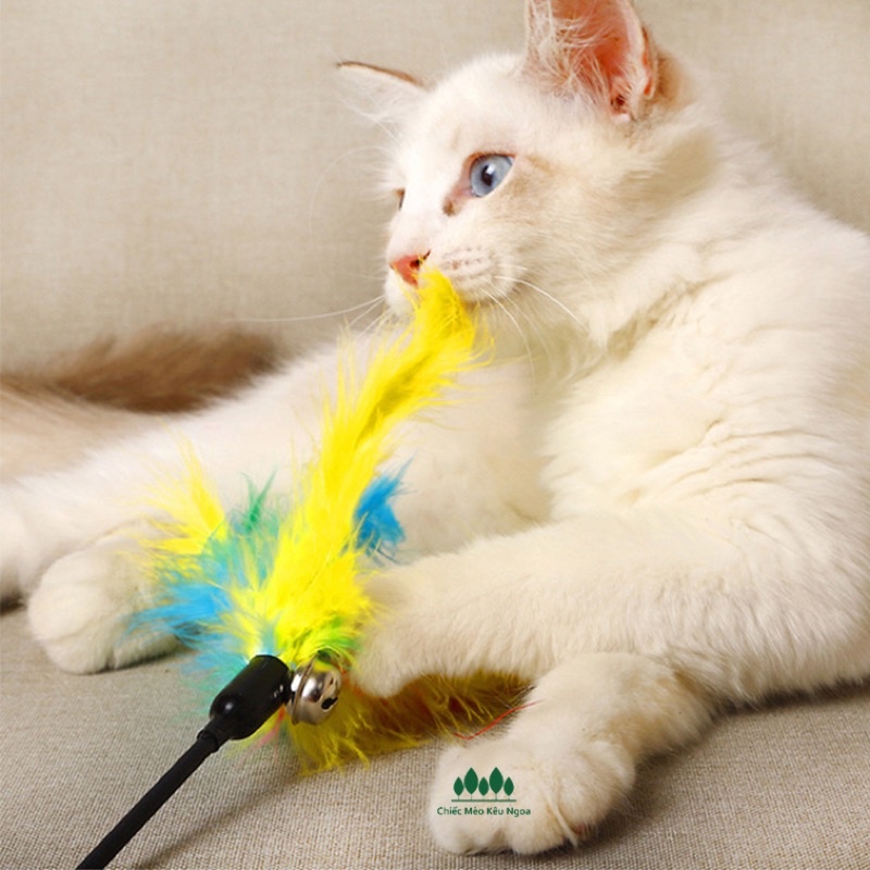 [CHỌN MẪU]☄Cần câu mèo méo meooo mèo meoooow - Tiệm Mèo Moa