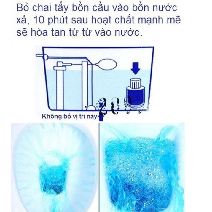 Cốc Bồn Cầu Hàn Quốc Size Lớn Tẩy Và Khử Mùi Bồn Cầu