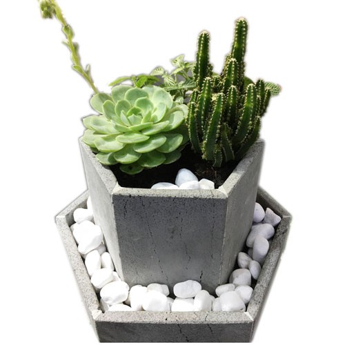 Chậu hoa đá ong xám 20x20x30cm hình lục giác độc lạ 2 tầng