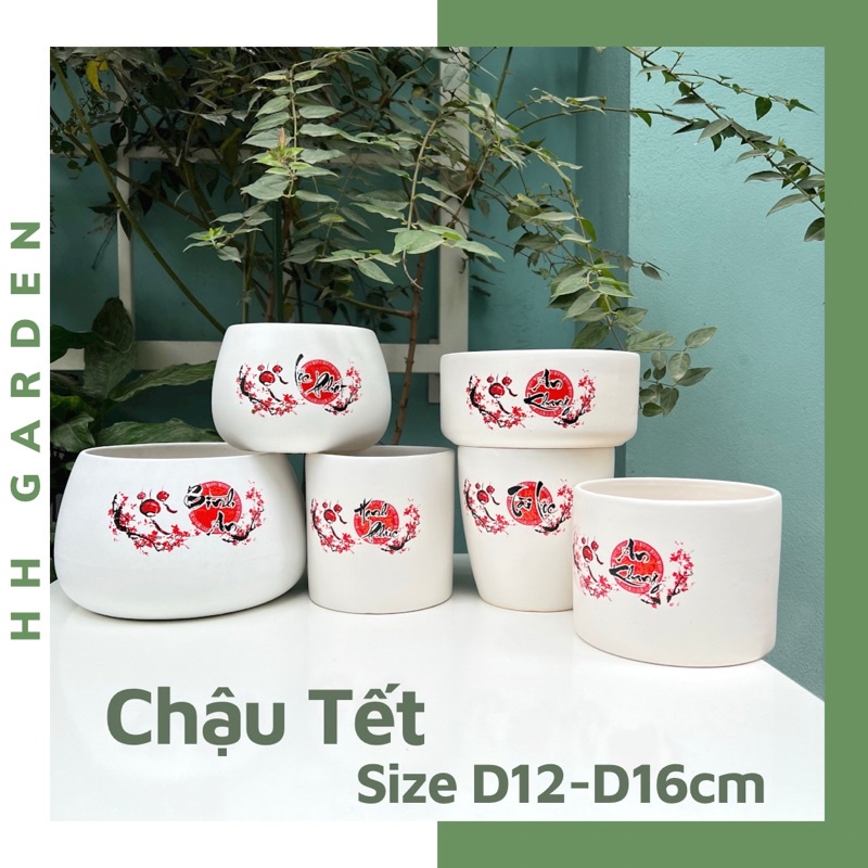 Chậu in hình Tết, Size M có DK thân từ 12–16cm