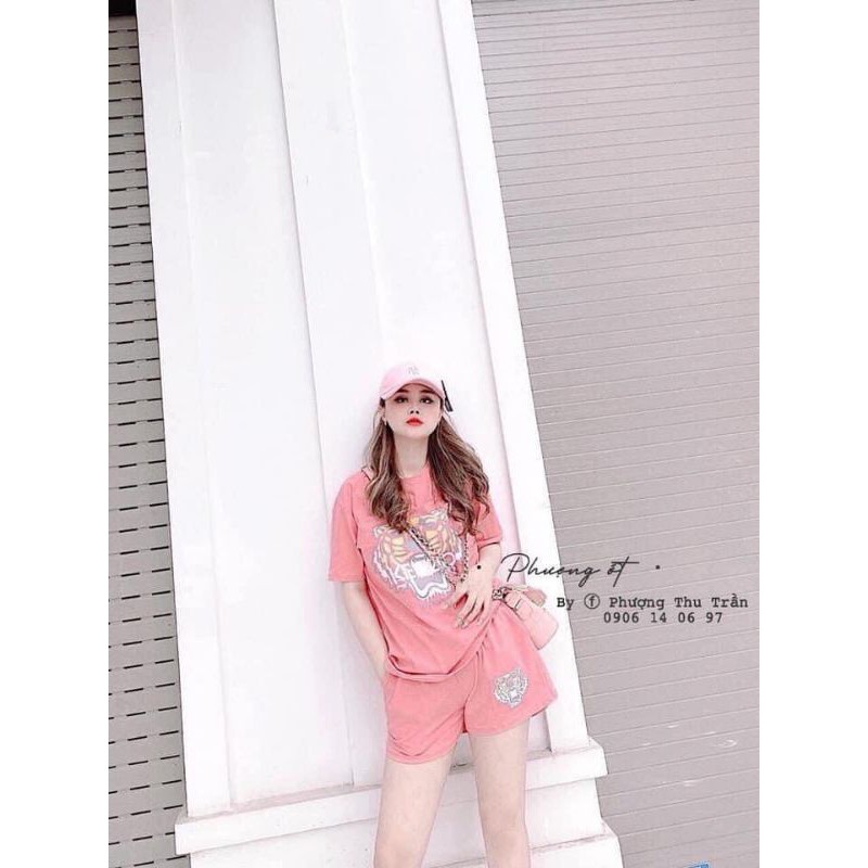 [VIDEO QUAY THẬT] Đồ bộ thun nữ cotton đẹp
