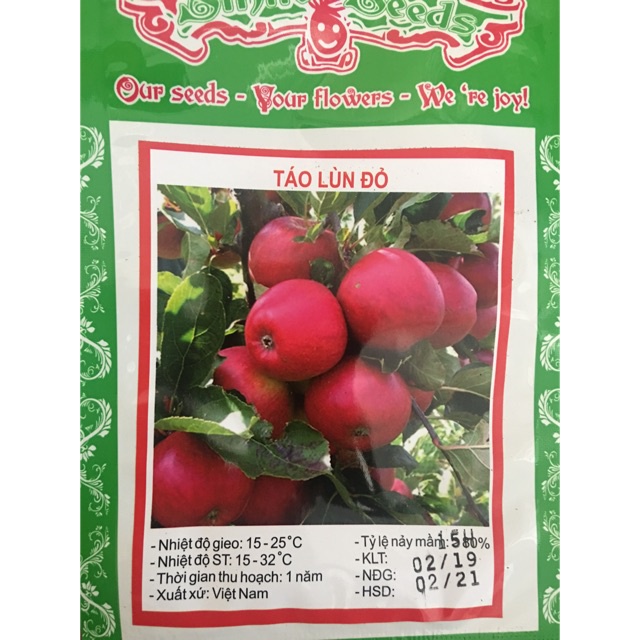 ( HOT )Hạt giống táo lùn đỏ 15 hạt/ gói