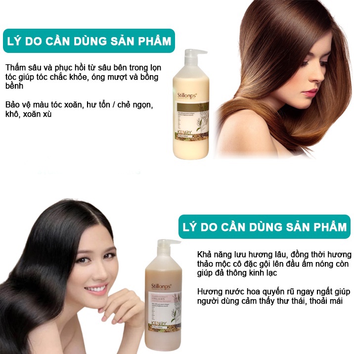 Dầu gội dưỡng sinh STILLONPS KENRY 1000ML hương thảo mộc, đả thông kinh lạc chính hãng Camy Shop68