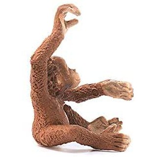 Mô hình SCHLEICH Đười ươi con 14776