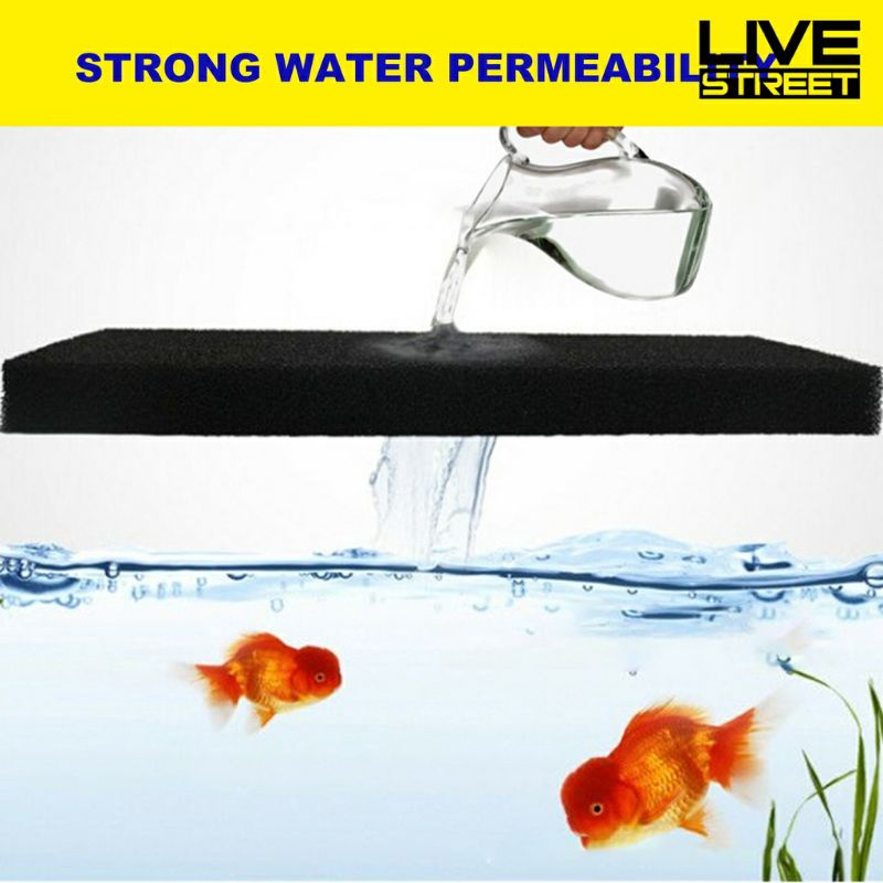 Mút đen lọc nước hồ cá 60*45*5cm, 50x50x5cm lọc siêu thích