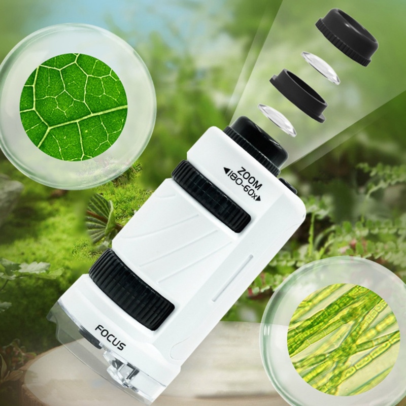 Kính Hiển Vi WMMB Chuyên Nghiệp Cho Trẻ Em 8-12 60-180X