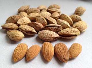 500g Hạnh nhân SaPa rang bơ