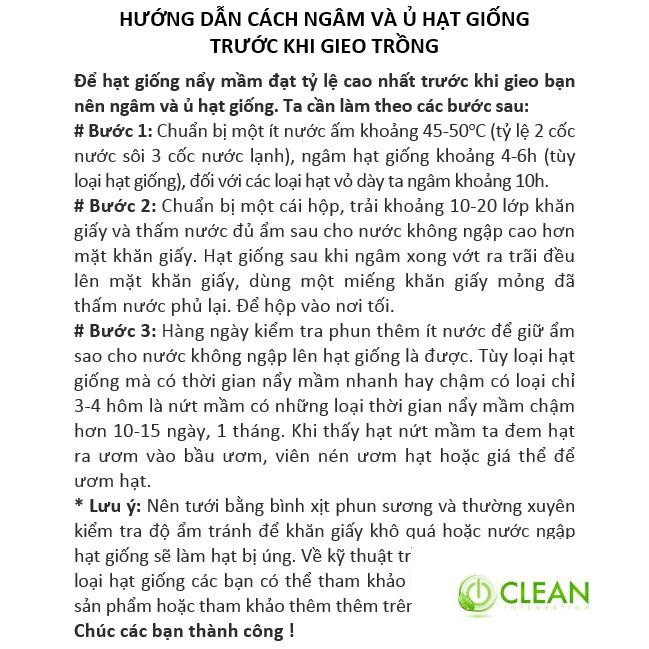 Hạt giống Đậu Hà Lan (Lấy Trái) (10g)