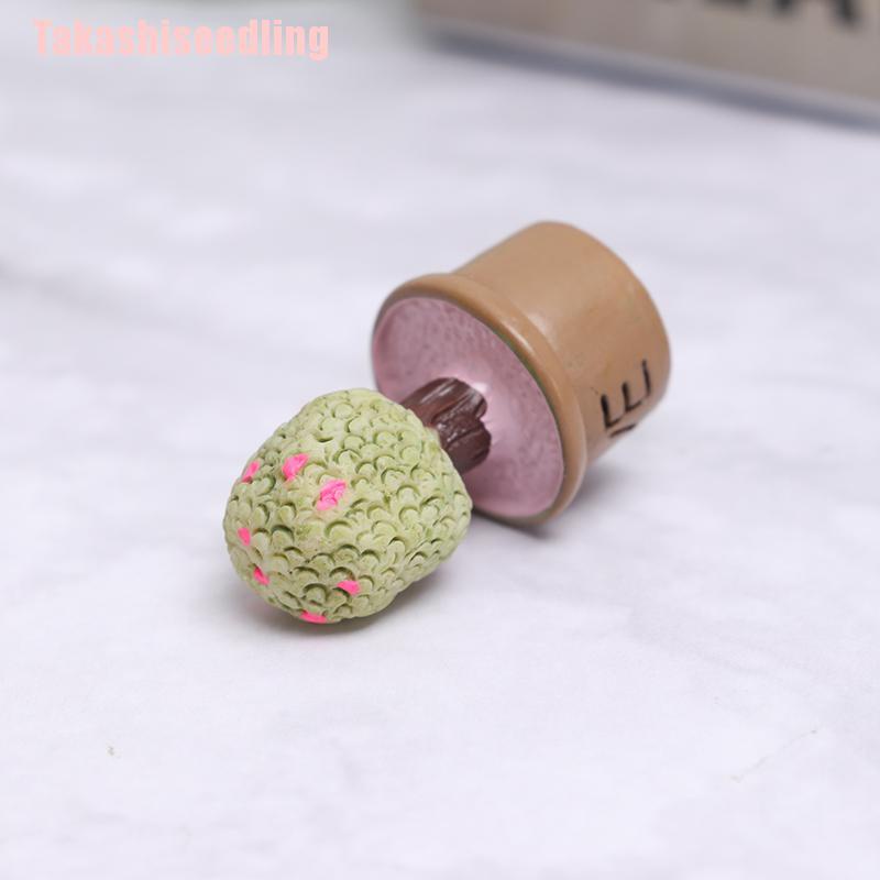 Bộ 5 chậu cây mini dễ thương trang trí nhà cửa