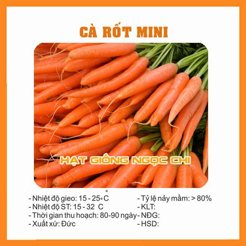 Hạt Giống Củ Cà Rốt Mini - 0.1Gr