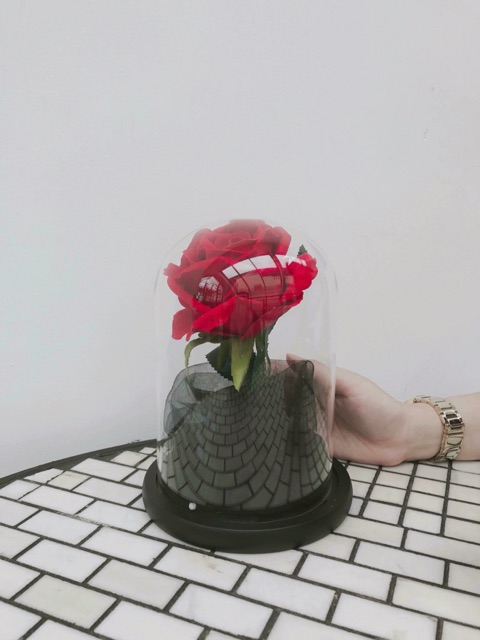 Hoa hồng bất tử - valentine 2018