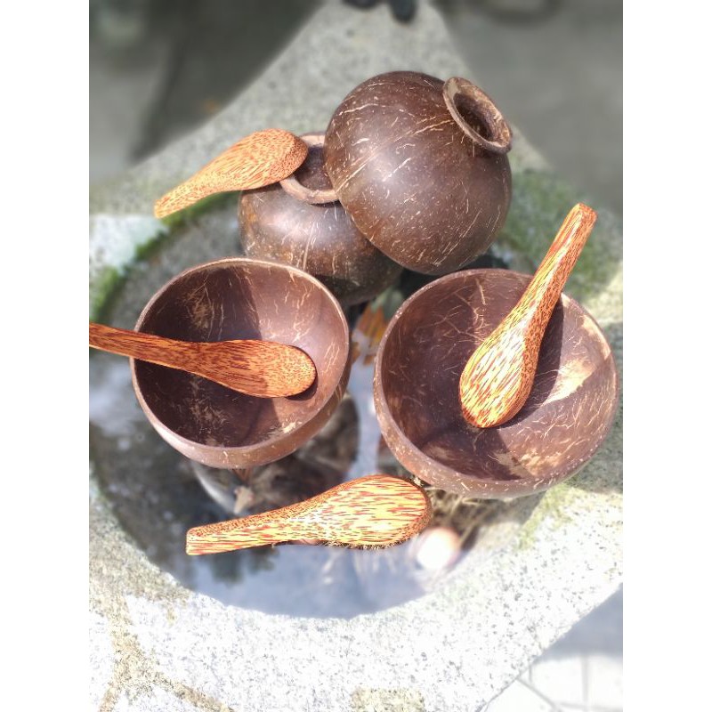 Combo 6 chén gáo dừa + 6 muỗng gỗ dừa