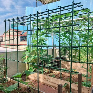 Ống thép bọc nhựa Full Size - Ống tre thép dùng làm giàn đỡ hoa Hồng, cà chua, giàn cho dây leo