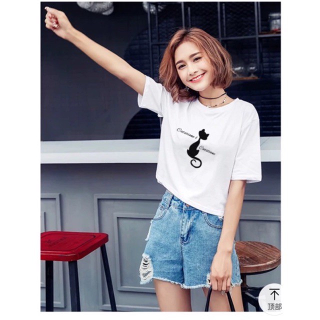 Áo phông croptop dáng rộng in hoạ tiết Some Mèo Cats Tiome