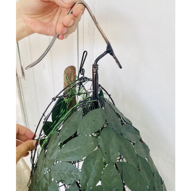 LỒNG, LỤP BẪY CHIM CU GÁY KẾT LÁ