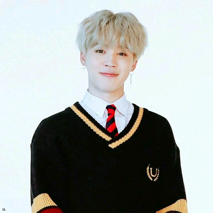 ÁO GILE LEN CỔ V JIMIN BTS+ẢNH THẬT
