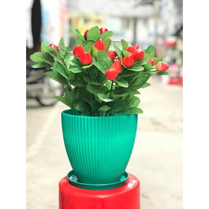 Chậu Tròn Sọc, Sọc Gân trồng hoa kiểng nhỏ trang trí bàn + đĩa lót vừa chậu